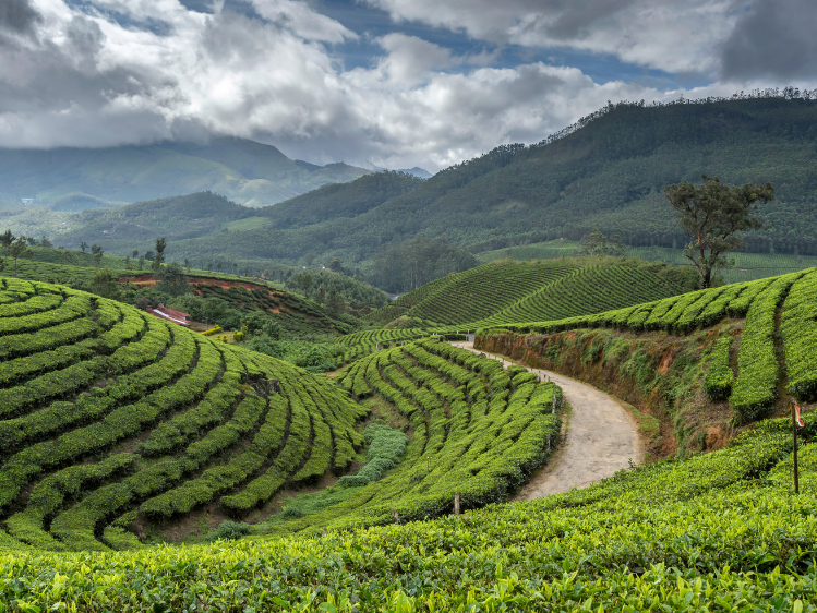Kerala Coastal Escape – 5N 6D