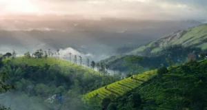 best-places-to-visit-in-Kerala-with-family