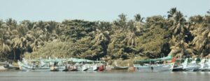 Must-visit places in Kozhikode — colourful fishing boats docked along a palm-lined Kerala harbour