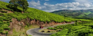 Tea plantation hills in Munnar with scenic road view – best places to visit in Munnar in 2 days